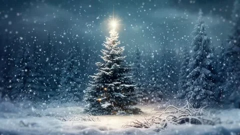 Christmas Tree Forest Animation Stock Footage 255025475