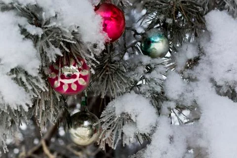 Christmas tree in the forest Foto stock