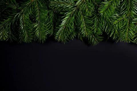 Christmas tree frame on black background Stock Photos