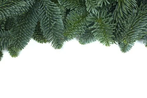 Christmas tree frame Stock Photos
