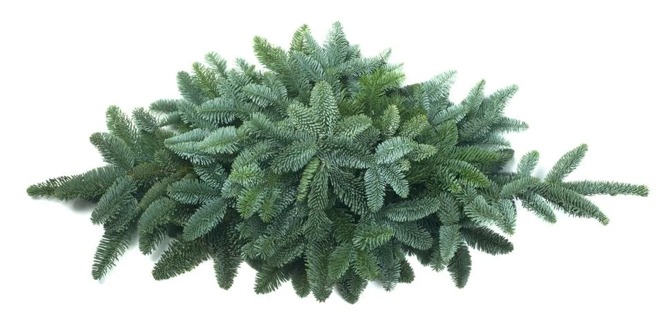 Christmas tree frame Stock Photos