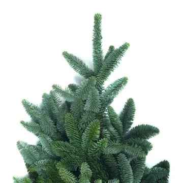 Christmas tree frame Stock Photos