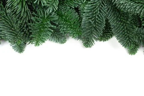 Christmas tree frame 写真素材