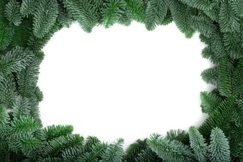 Christmas tree frame 写真素材