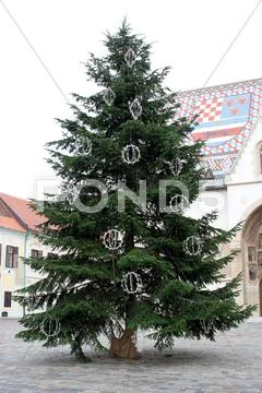 Christmas tree in fron of st. mark's chruch in zagreb Stock Photos