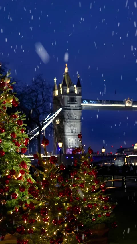 A  Christmas Tree in front of the defocussed Tower Bridge of London with snow Stock Footage 319027193