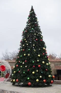 Christmas tree in full size outside on the square in the park, New year Stock Photos