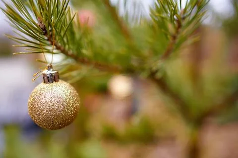 Christmas tree golden toy ball hanging on the fir. Close up, selective focus Stock Photos