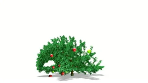 Christmas tree grows and dresses up sphere toys. Stock Footage 11242237