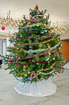 Christmas tree in hall Stock Photos