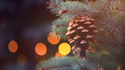 Christmas tree holiday background. Pine tree decorated with Christmas lights Stock Footage 83660584