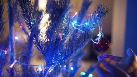 Christmas tree at home Video stock 79078586