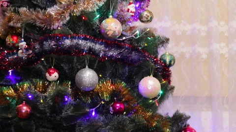 Christmas tree in the house Stock Footage 107779986