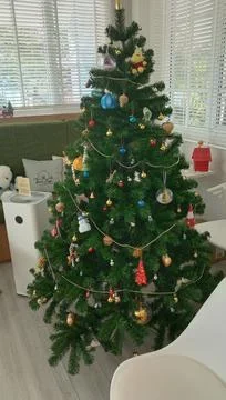 Christmas tree in the house Stock Photos