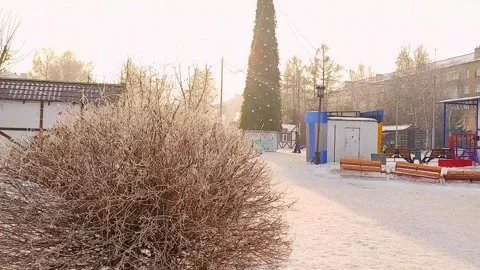 Christmas tree. Ice figures, in winter in frost and sun Video stock 262155592