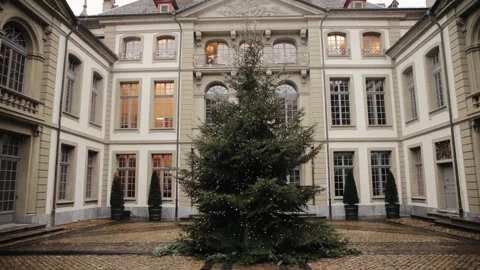Christmas tree illuminated with lights, facade of modern building, Bern, Swiss Stock Footage 224744251