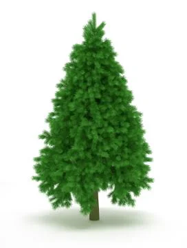 Christmas tree Illustrazione stock