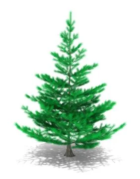 Christmas Tree Stock Illustration