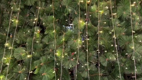 Christmas tree interactive and sparkling icicle lights 스톡 동영상 342637209