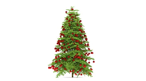 Christmas tree isolated with alpha Video stock 885598