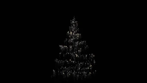 Christmas tree isolated on black background Stock Footage 171654579