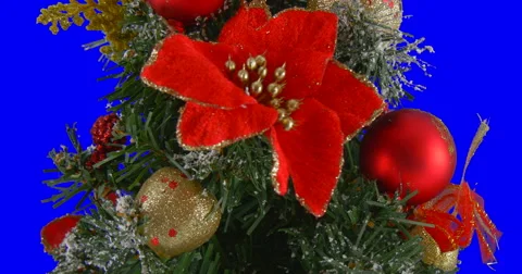 Christmas tree isolated loop 07 Stock Footage 45029005