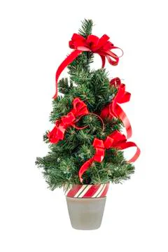 Christmas tree isolated Stock Photos