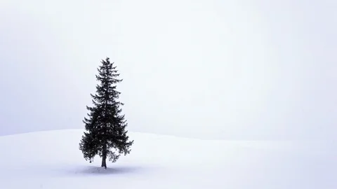 Christmas tree isolated on a snow background. Stock Footage 104354176