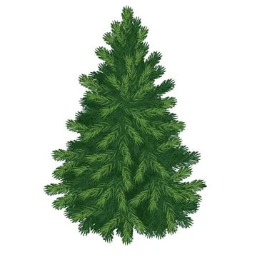 Christmas tree isolated on white background. Sketch for greeting card, festive Stock Illustration