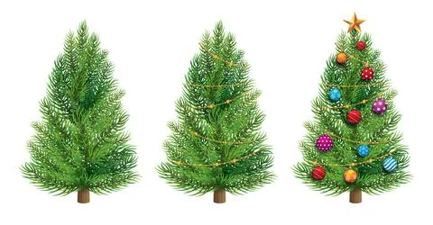 Christmas tree isolated on white background. Stock Illustration