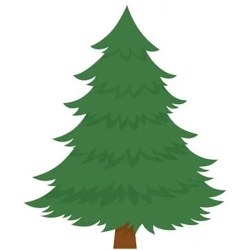 Christmas tree isolated on white background. Christmas tree without decorations. Illustrazione stock