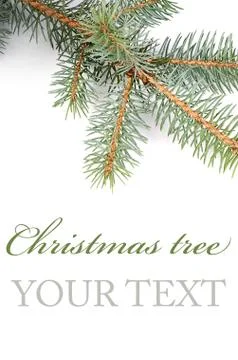 The christmas tree isolated on white 스톡 일러스트