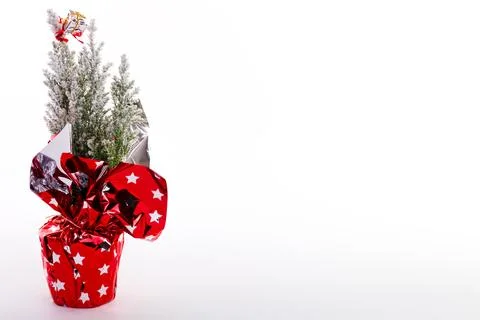 Christmas tree isolated on white Stock Photos