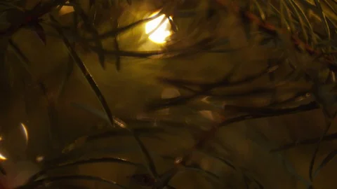 Christmas tree leaves 3 Stock Footage 122351730