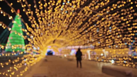 Christmas tree with LED New Year's illumination in city park in evening Stock Footage 248917132