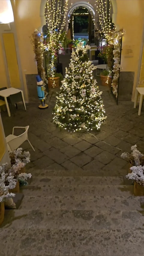 Christmas Tree with Lemon Decorations Stock-Footage 294968146