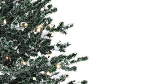 Christmas tree with light bulbs and snow Stock Footage 70029611