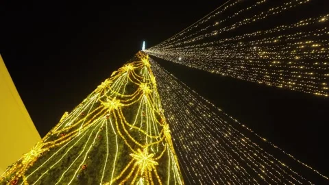 Christmas Tree Light Decorations With Radiating Strings at Night Stock Footage 328354458