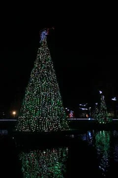 Christmas Tree Light Display Stock Photos