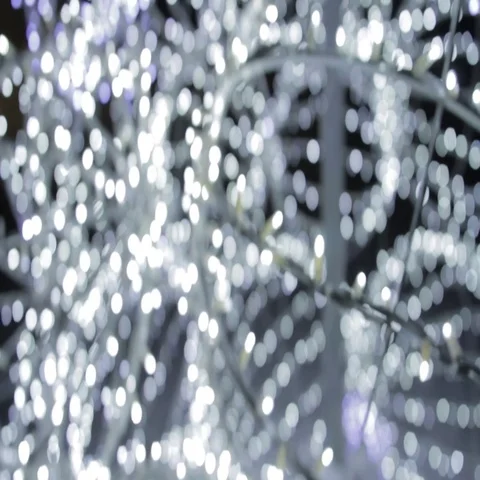 Christmas tree light Stock Footage 69289414