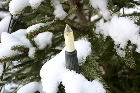 Christmas tree with a light Foto stock