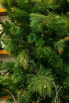 Christmas tree light Stock Photos