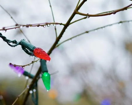 Christmas tree light in tree Stock Photos