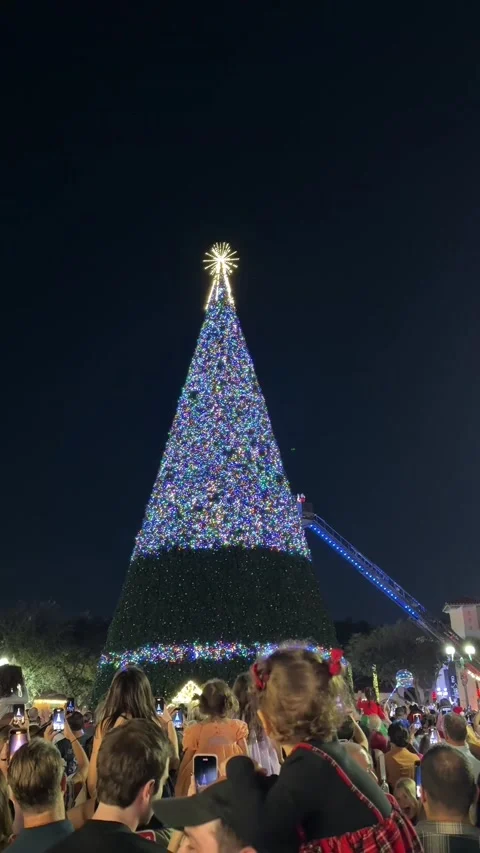 Christmas Tree Lighting Ceremony Fail, Delray Beach, Florida, USA - 03 Dec 2025 Stock Footage 324875629