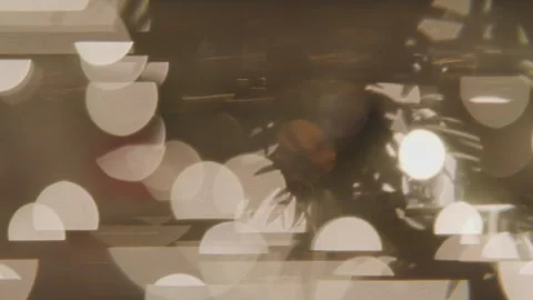 Christmas Tree Lighting Details Through Diopter Filter Stock Footage 270309044