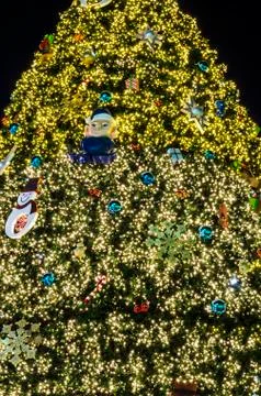 Christmas tree lighting Stock Photos