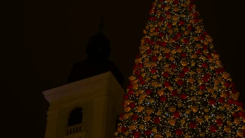 Christmas tree lighting up with a star Stockbeeldmateriaal 334577868