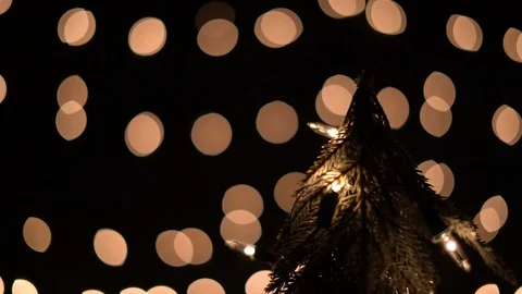 Christmas tree with lights on bokeh background Stock Footage 94098933