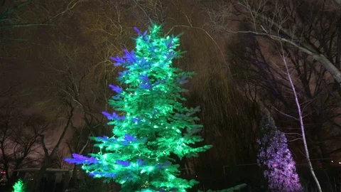 Christmas tree lights. Christmas tree, garland on a New Year, blinking lights Видео 84559455