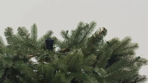 Christmas Tree lights details trigger different light settings and colors 204 Stock Footage 100283790